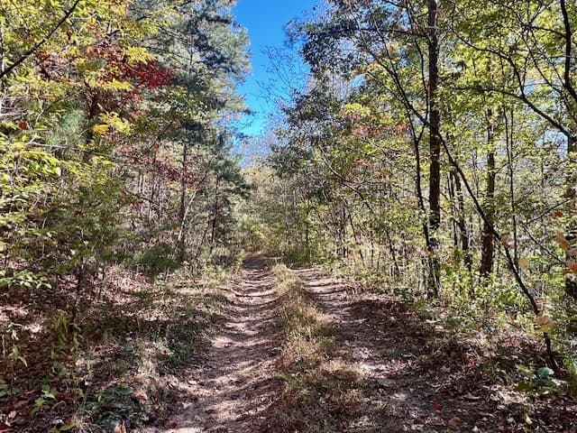 TBD Upper Peachtree Road, Murphy NC 28906 - Photo