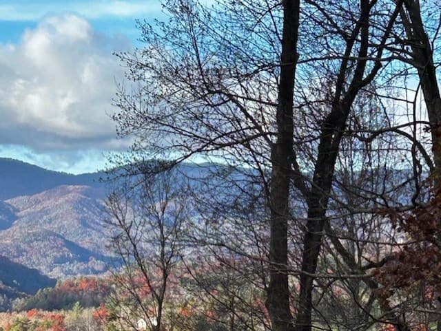 TBD Upper Peachtree Road, Murphy NC 28906 - Photo