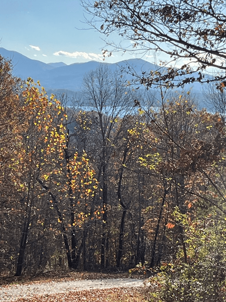 41 42 43 Ridges Overlook, Hayesville NC 28904 - Photo