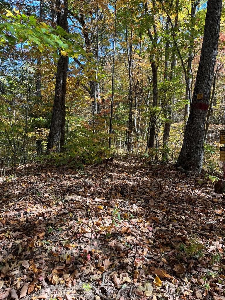 Lot 9 Black Bear Trail, Hiawassee GA 30546 - Photo