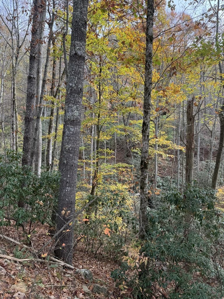 00 Heritage Trail, Brasstown NC 28902 - Photo