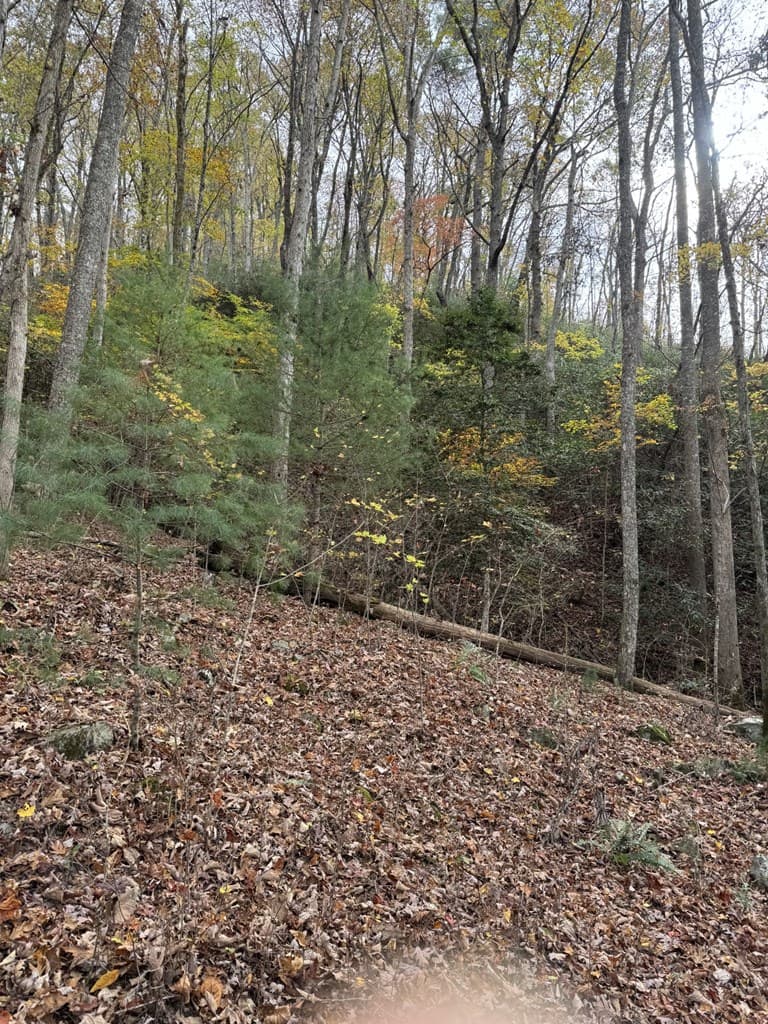 00 Heritage Trail, Brasstown NC 28902 - Photo