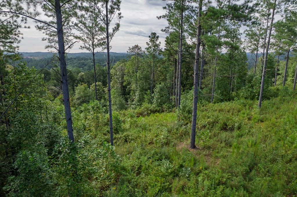 Lot 195 Blalock Mountain Road, Talking Rock GA 30175 - Photo