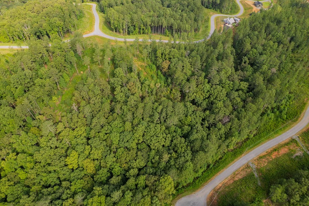 Lot 195 Blalock Mountain Road, Talking Rock GA 30175 - Photo