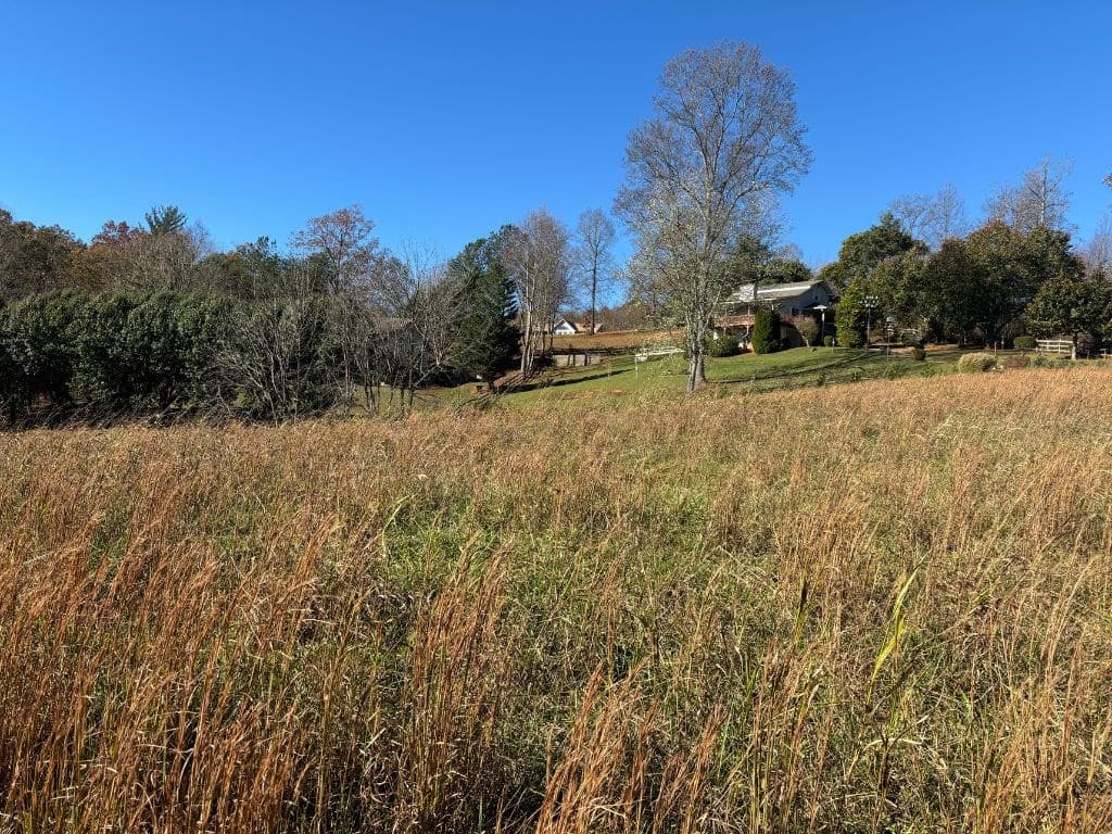 Lots 1-4 Windy Ridge & Hwy 69, Hayesville NC 28904 - Photo