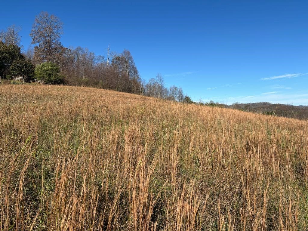 Lots 1-4 Windy Ridge & Hwy 69, Hayesville NC 28904 - Photo