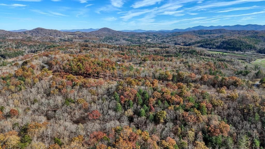 Lot 42 Ridge Dr, Morganton GA 30560 - Photo