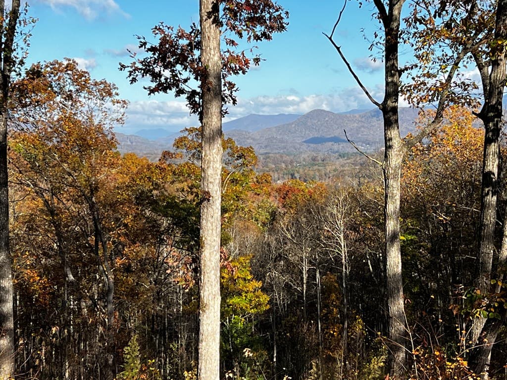 Lot 118 Winding Ridge, Blairsville GA 30512 - Photo