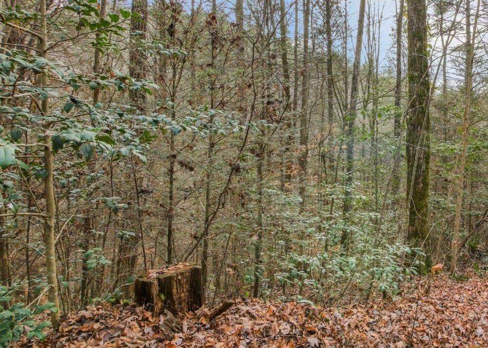 Lot 2 Laurel Overlook Road, Ellijay GA 30540 - Photo