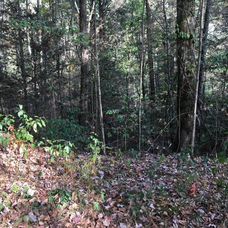 Lot 2 Laurel Overlook Road, Ellijay GA 30540 - Photo