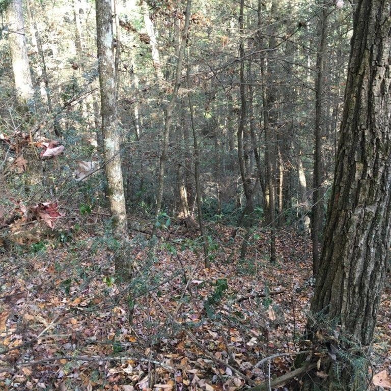 Lot 2 Laurel Overlook Road, Ellijay GA 30540 - Photo
