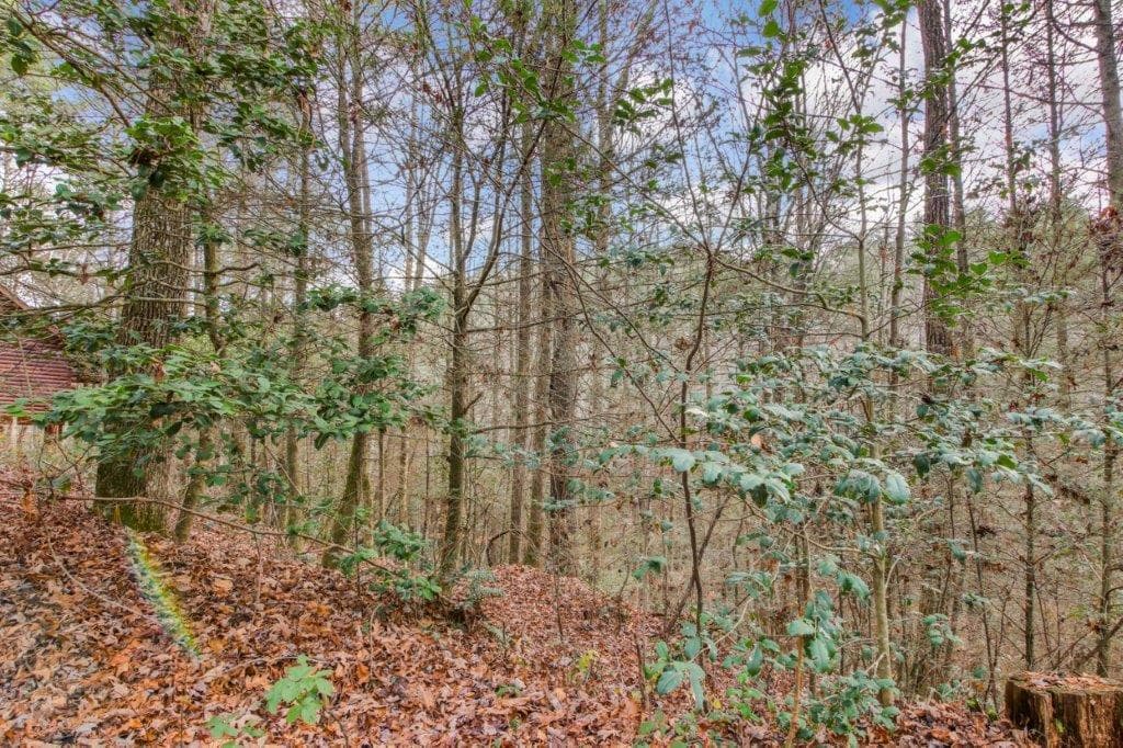 Lot 2 Laurel Overlook Road, Ellijay GA 30540 - Primary photo