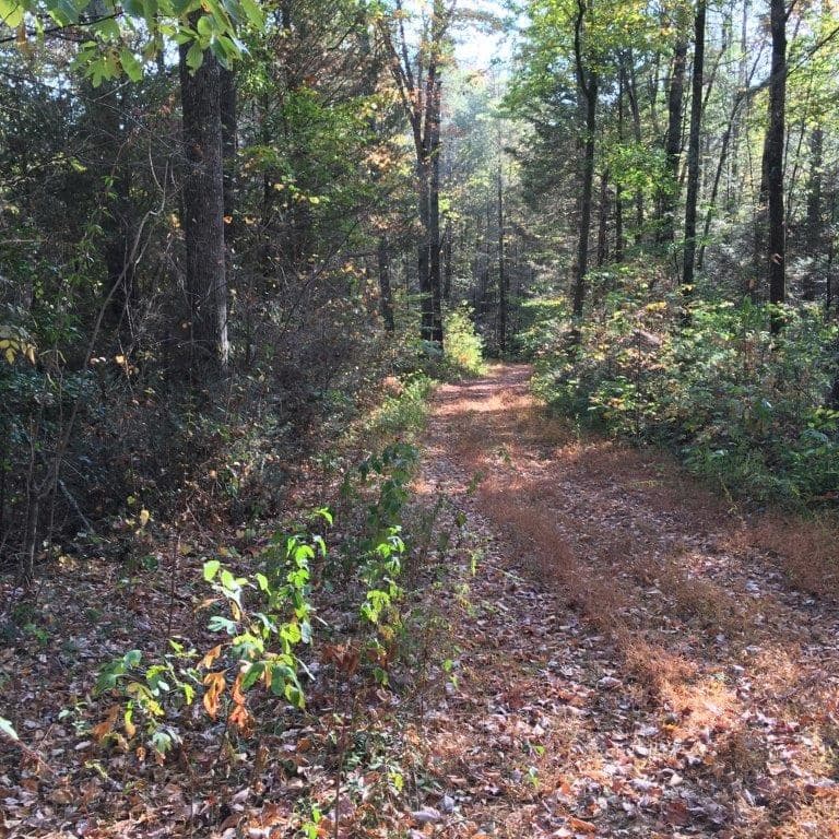 Lot 2 Laurel Overlook Road, Ellijay GA 30540 - Photo