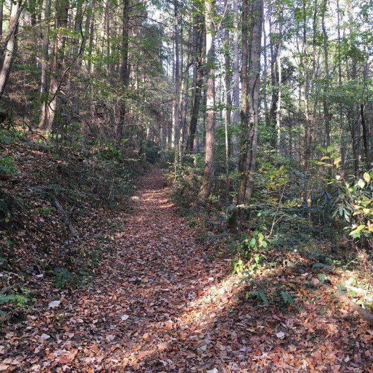 Lot 2 Laurel Overlook Road, Ellijay GA 30540 - Photo