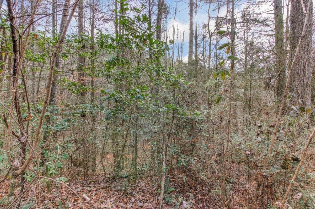 Lot 2 Laurel Overlook Road, Ellijay GA 30540 - Photo
