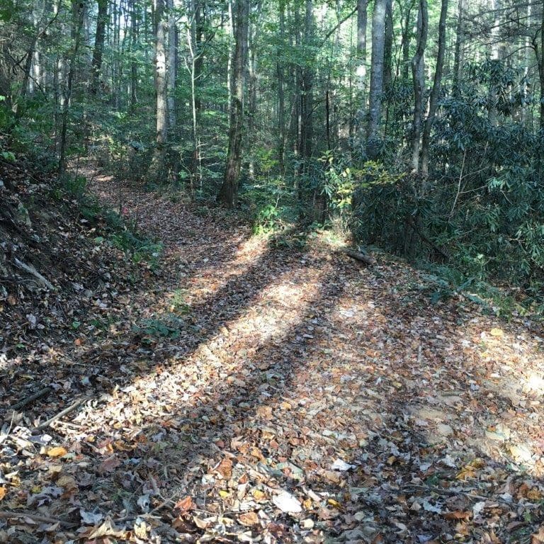Lot 2 Laurel Overlook Road, Ellijay GA 30540 - Photo