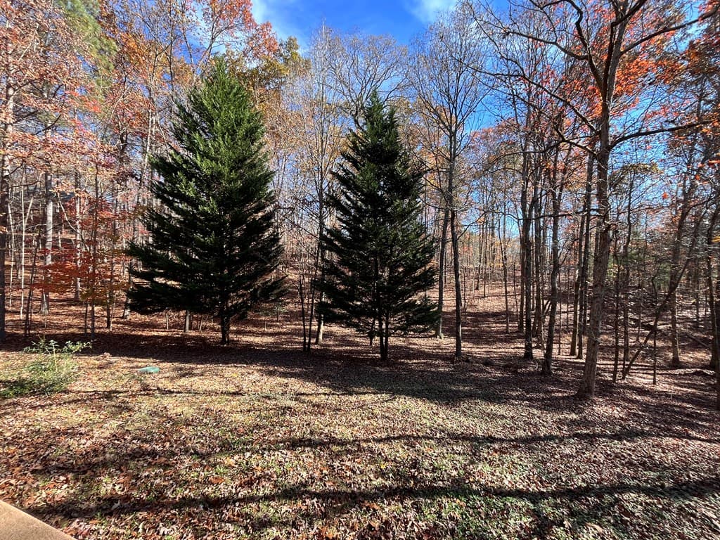 199 Orlon Drive, East Ellijay GA 30540 - Photo