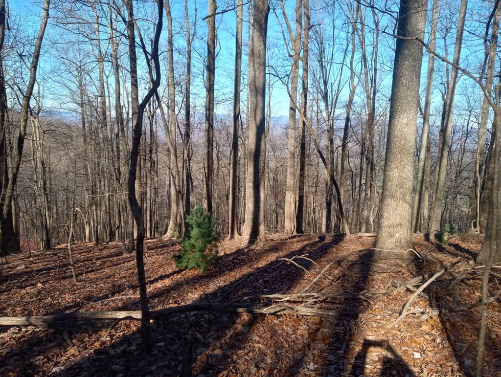 LT M214 Walnut Ridge, Ellijay GA 30536 - Photo