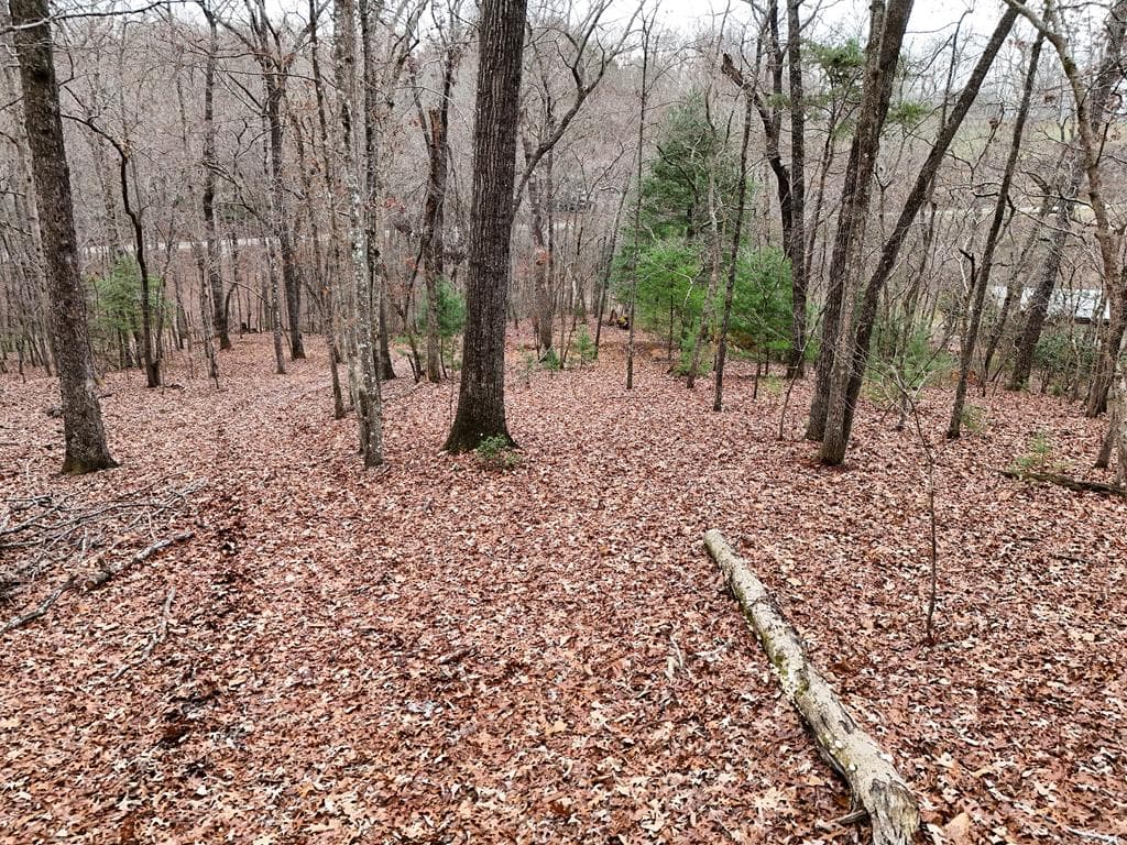 0 Dills Road, Blue Ridge GA 30513 - Photo
