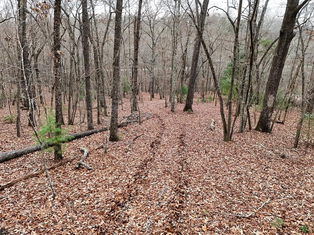 0 Dills Road, Blue Ridge GA 30513 - Photo