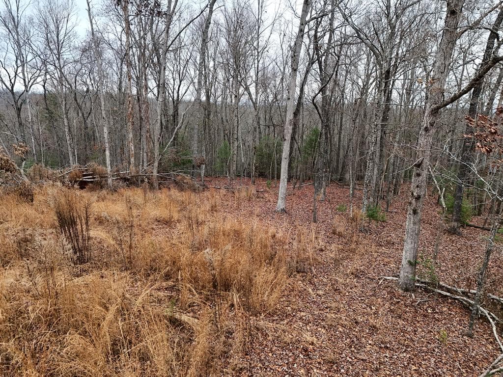0 Dills Road, Blue Ridge GA 30513 - Photo