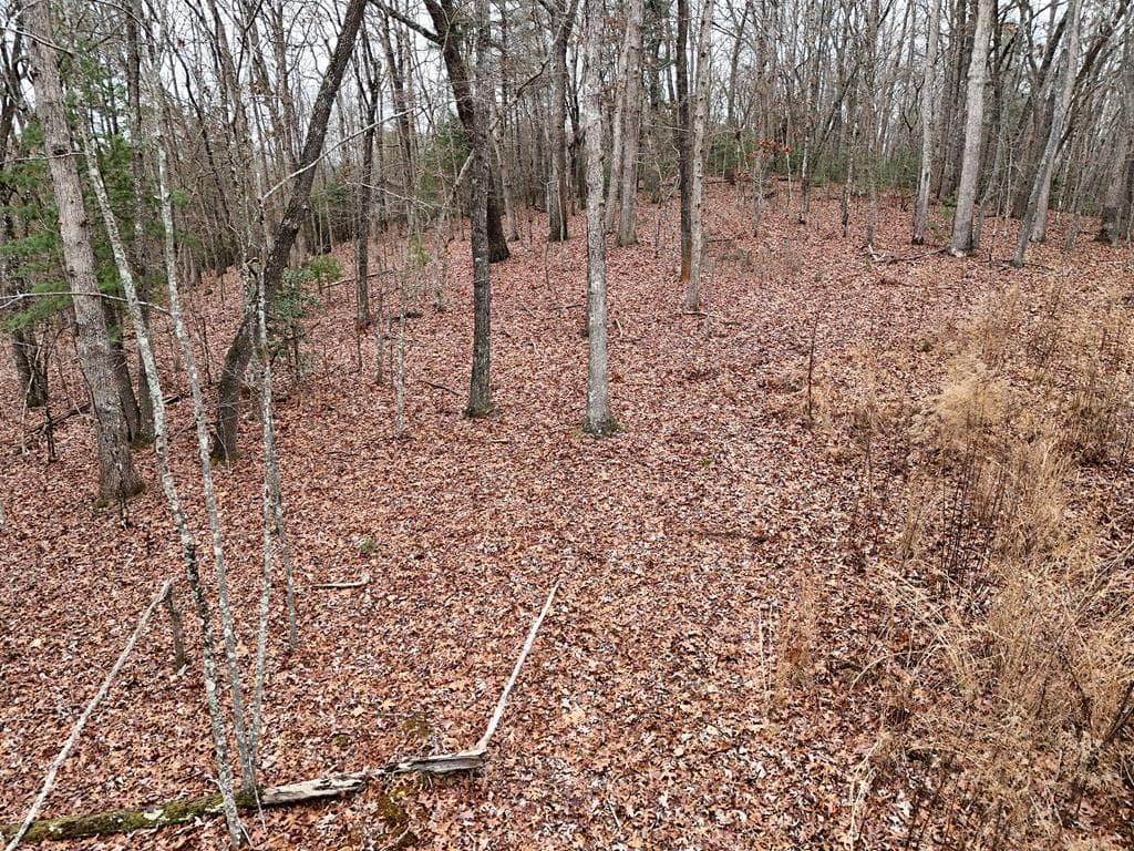 0 Dills Road, Blue Ridge GA 30513 - Photo