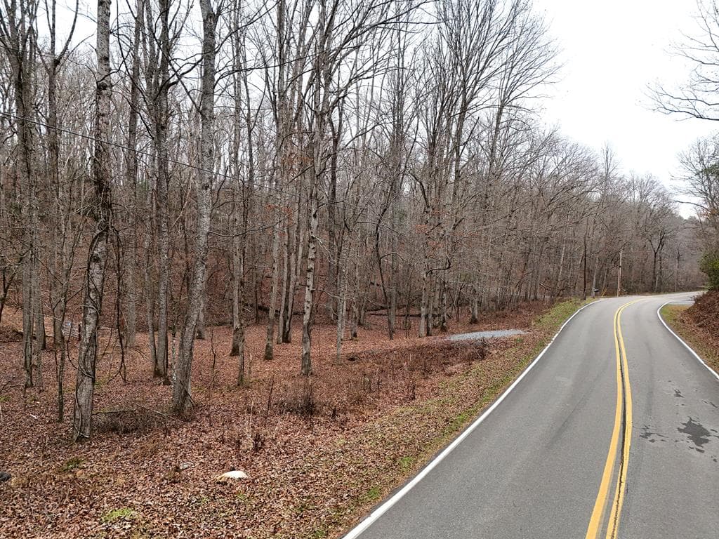 0 Dills Road, Blue Ridge GA 30513 - Photo