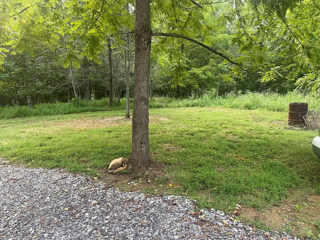 823 Hidden Lake Road, Blairsville GA 30512 - Photo