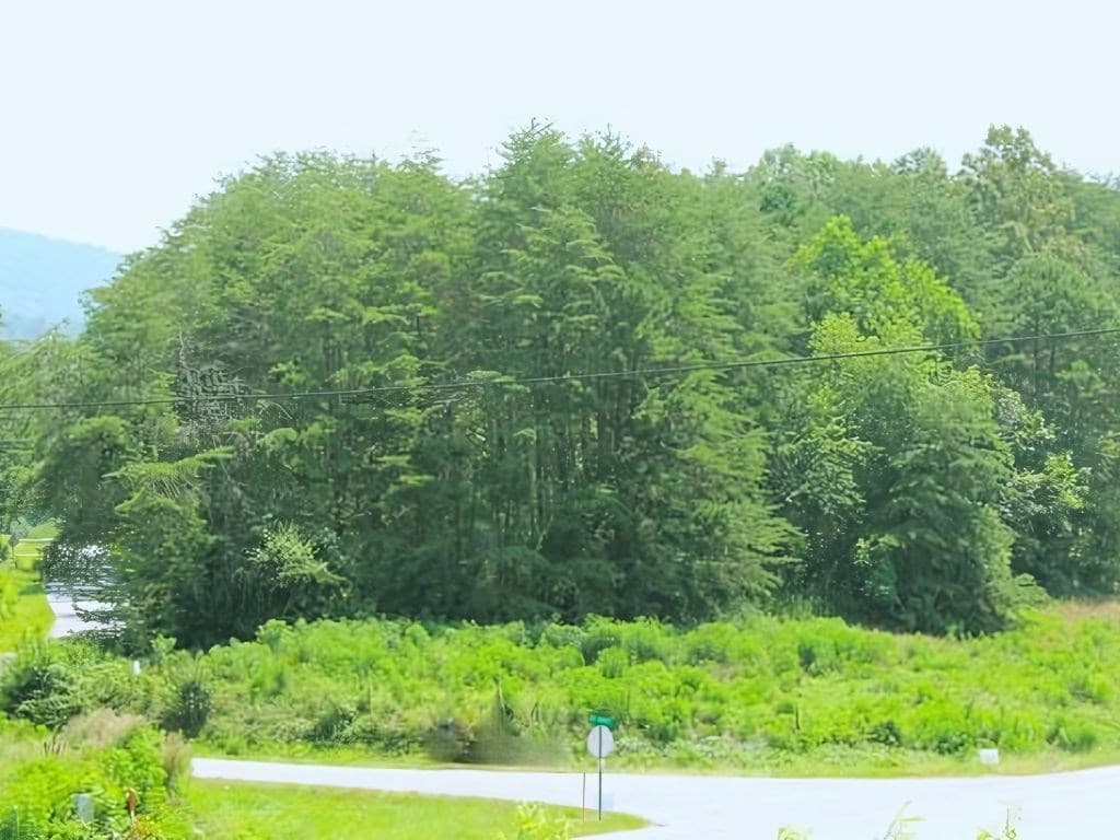 HWY 64 Cold Branch, Hayesville NC 28904 - Photo