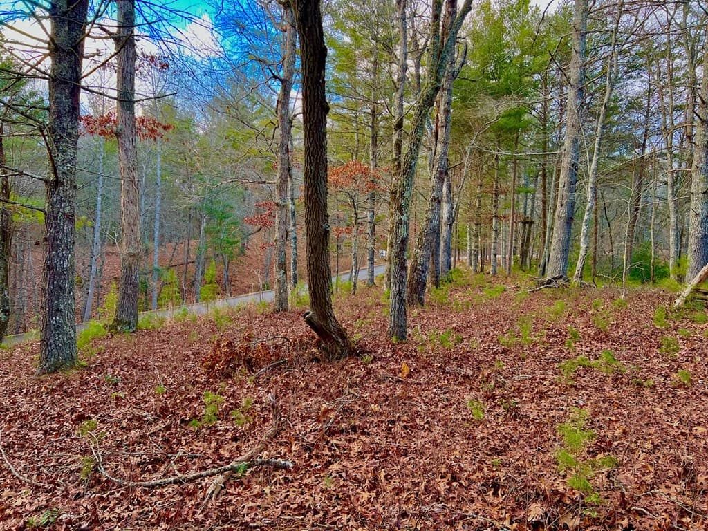 Lot 5 Hawks View, Morganton GA 30560 - Photo