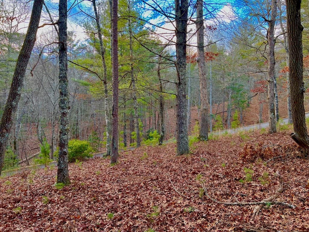 Lot 5 Hawks View, Morganton GA 30560 - Photo