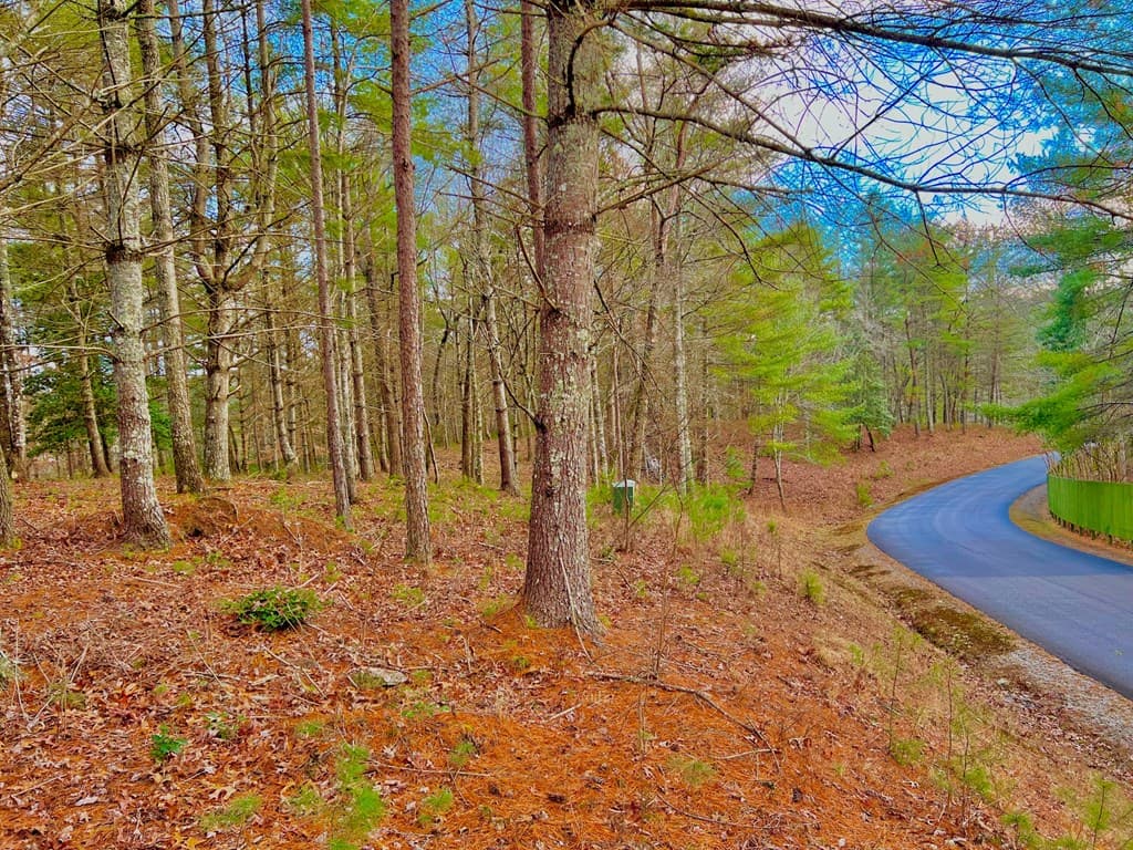 Lot 5 Hawks View, Morganton GA 30560 - Photo