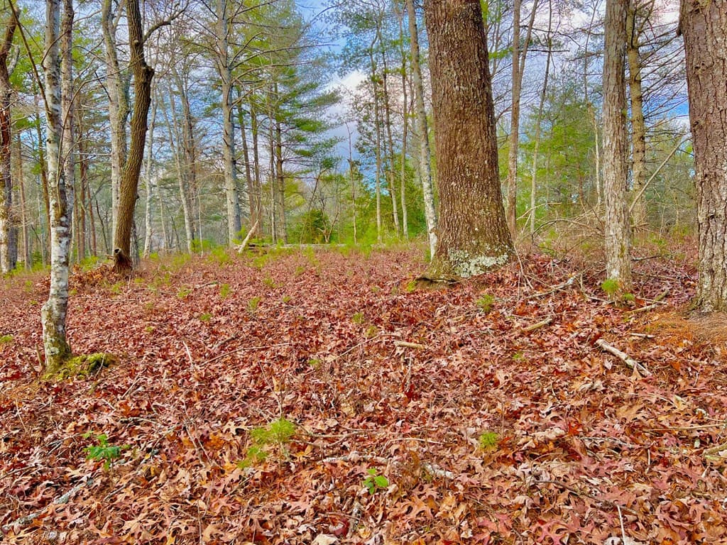 Lot 5 Hawks View, Morganton GA 30560 - Photo