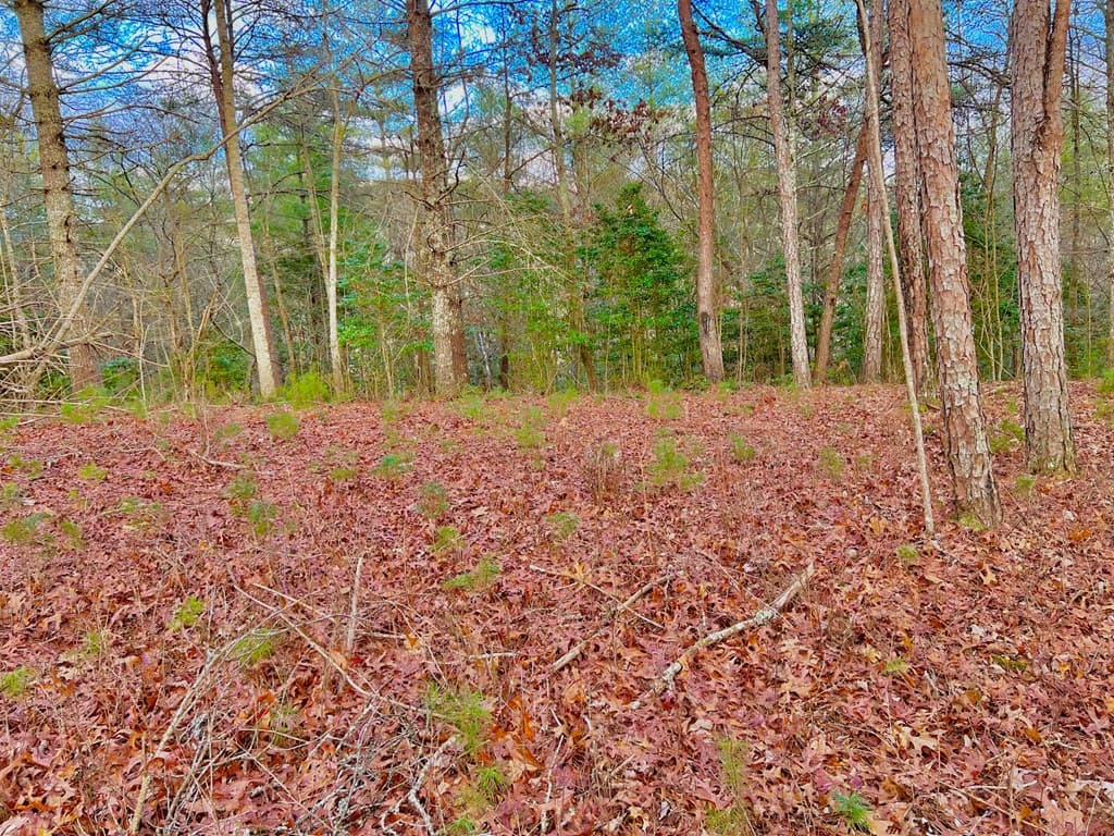 Lot 5 Hawks View, Morganton GA 30560 - Photo
