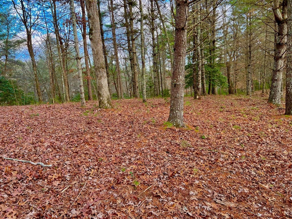Lot 5 Hawks View, Morganton GA 30560 - Photo