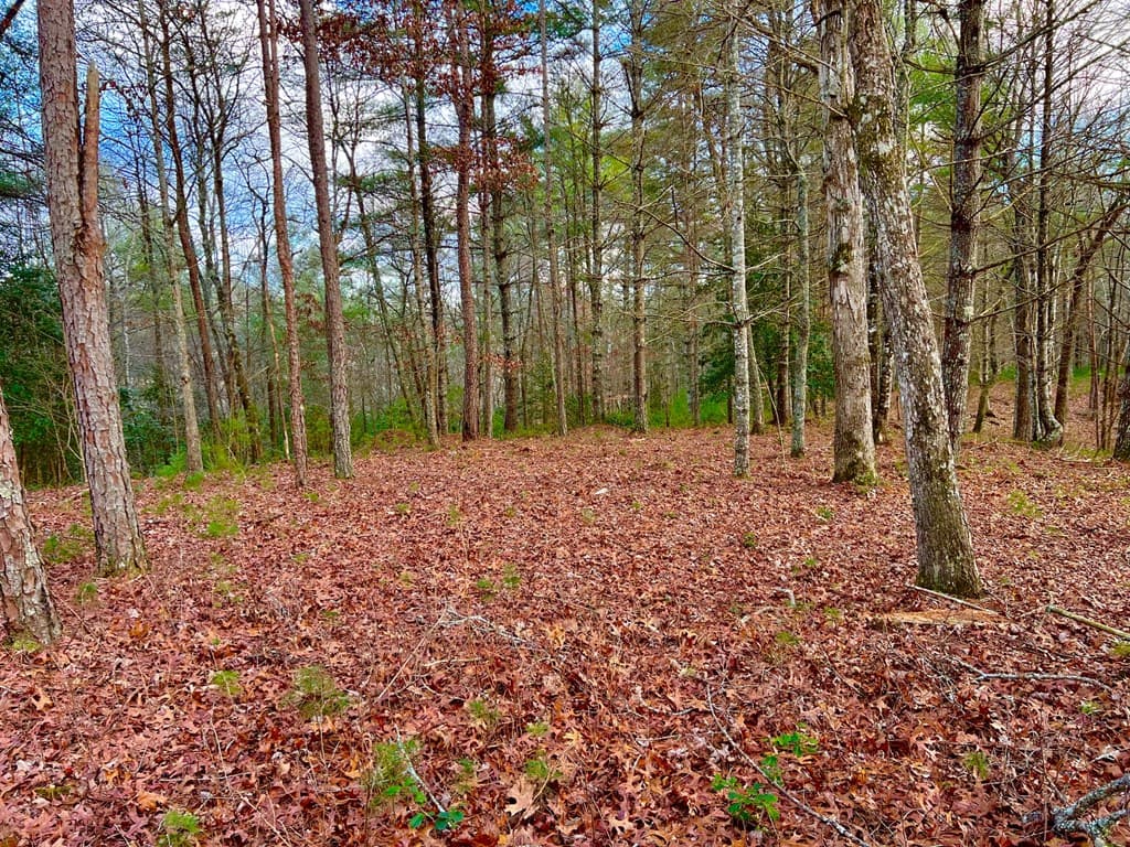 Lot 5 Hawks View, Morganton GA 30560 - Photo