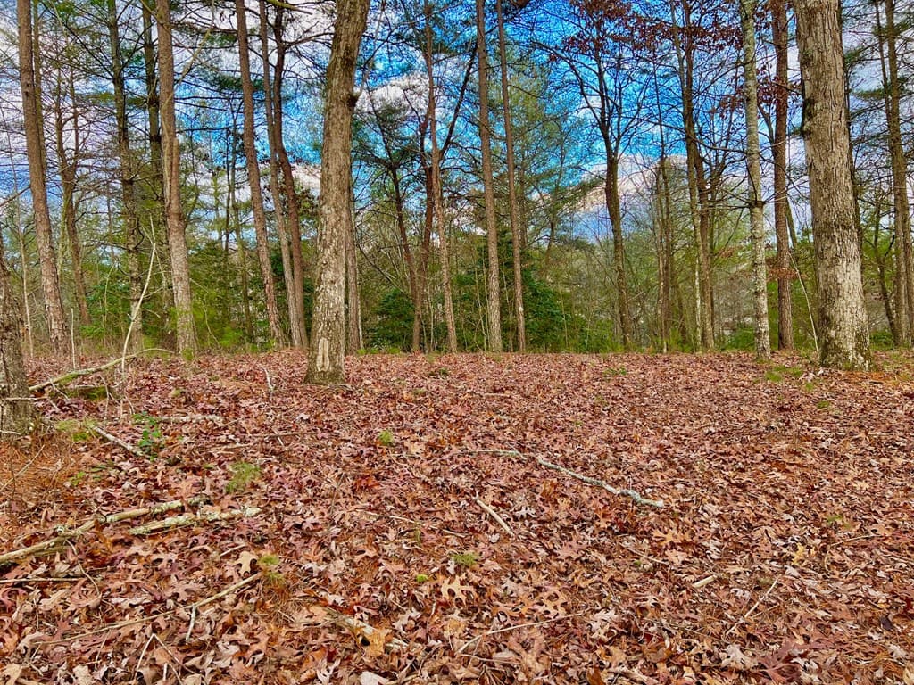 Lot 5 Hawks View, Morganton GA 30560 - Photo