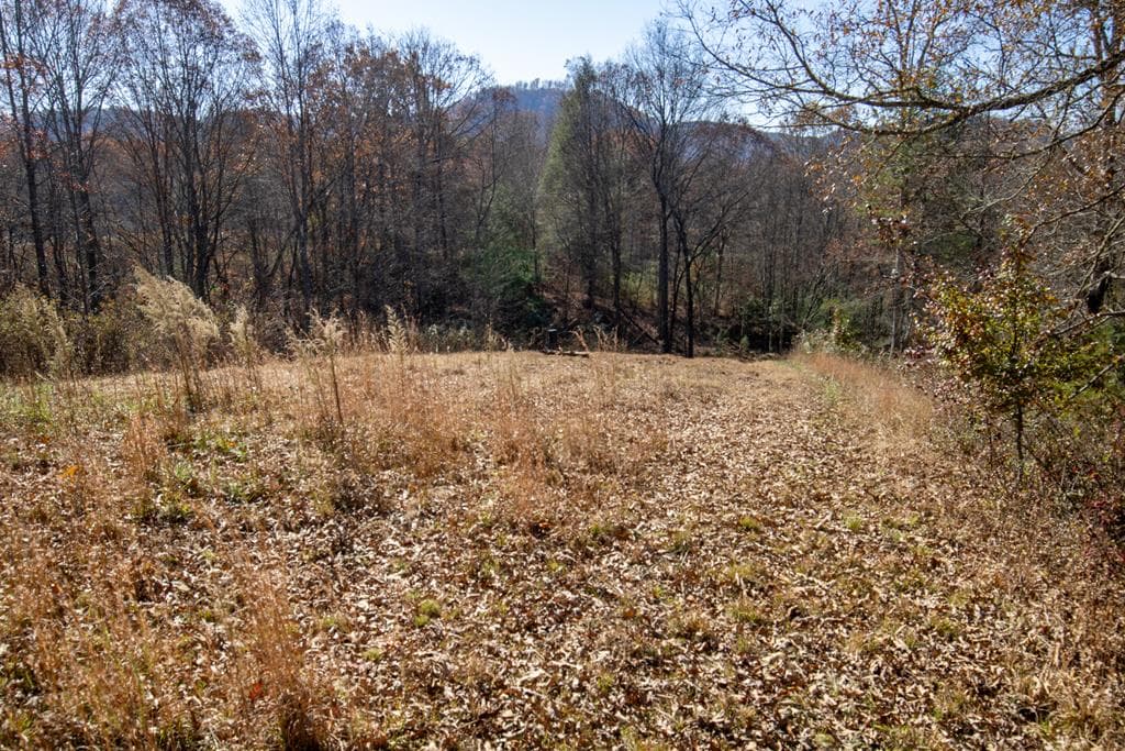 254 Padgett Lane, Turtletown TN 37391 - Photo