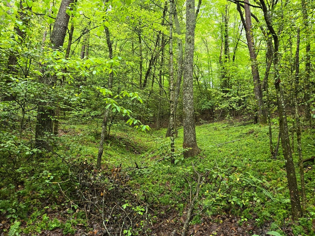 H7 River Sound Village, Hayesville NC 28904 - Photo