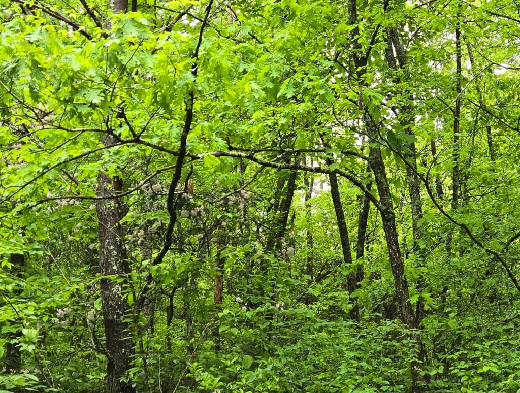 H7 River Sound Village, Hayesville NC 28904 - Photo