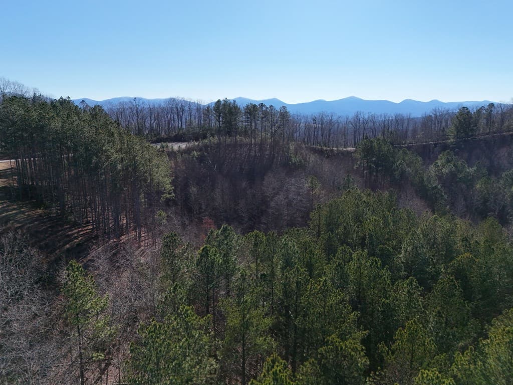 Tract D Carriage Lane Nw, Blairsville GA 30512 - Photo