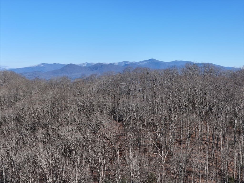 Tract D Carriage Lane Nw, Blairsville GA 30512 - Photo
