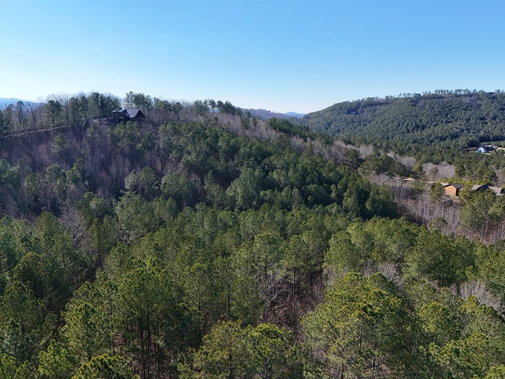 Tract D Carriage Lane Nw, Blairsville GA 30512 - Photo
