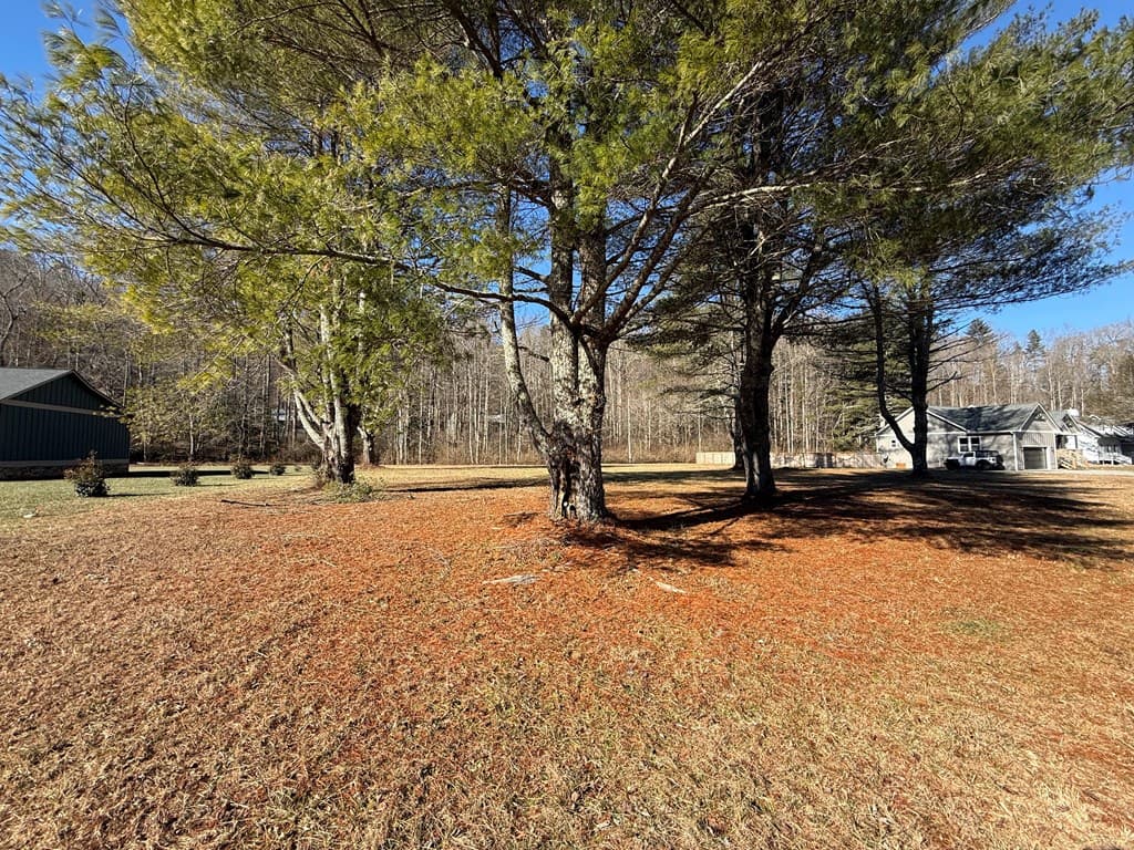 Lot 77 Big Pine Drive, Hiawassee GA 30546 - Photo