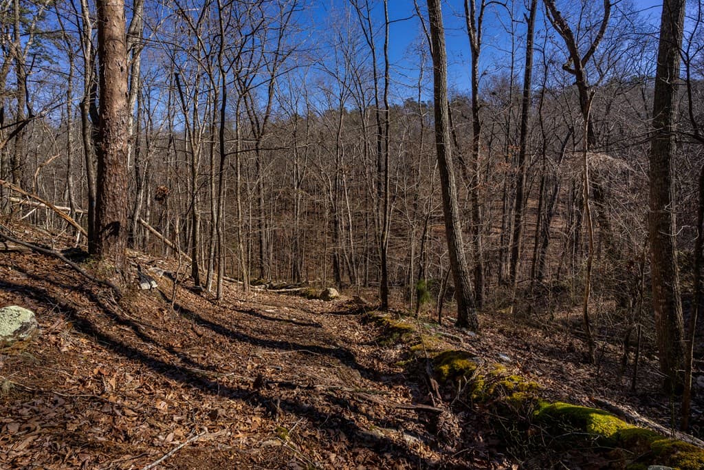 4.78 Ac Bell Court, Ranger GA 30701 - Photo