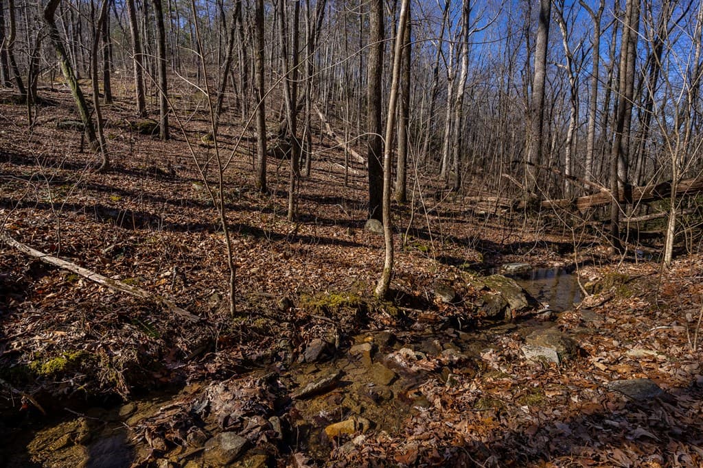 4.78 Ac Bell Court, Ranger GA 30701 - Photo