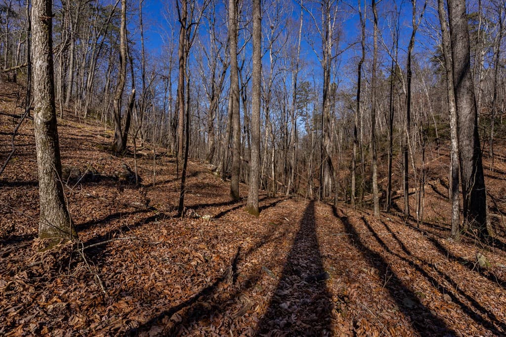 4.78 Ac Bell Court, Ranger GA 30701 - Photo