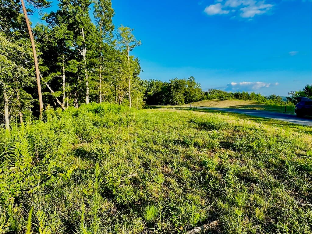 656 Lookout Valley Trail, Talking Rock GA 30175 - Photo