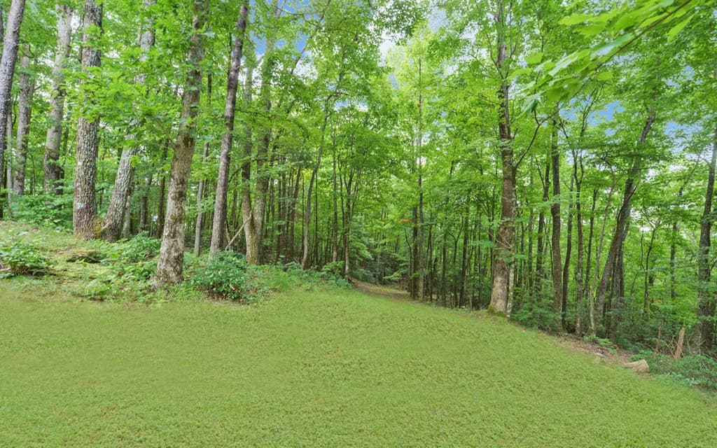 1055 Wolfpen Trail, Ellijay GA 30536 - Photo