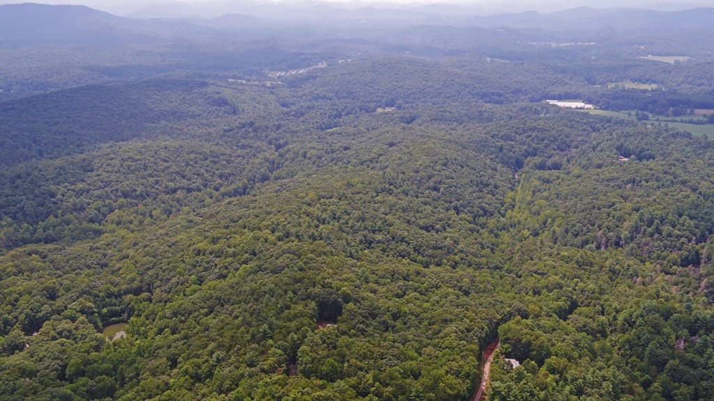 1055 Wolfpen Trail, Ellijay GA 30536 - Photo